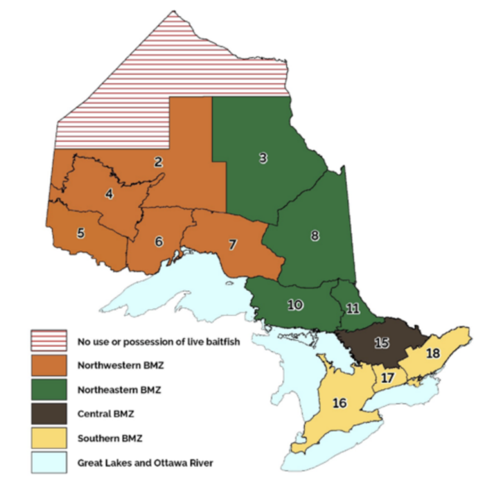 2022 Ontario Fishing Regulations