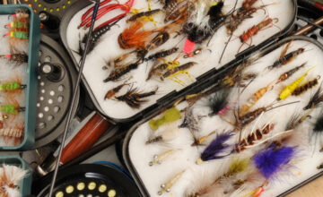 10 Trout Flies for Fly Fishing in Ontario: Tying Tips & Tutorials