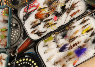 10 Trout Flies for Fly Fishing in Ontario: Tying Tips & Tutorials