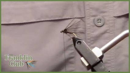 PHEASANT TAIL NYMPH Fly Pattern