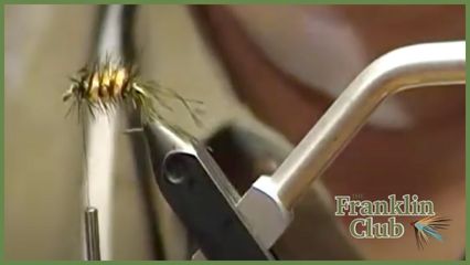 WOLLY WORM Fly Pattern