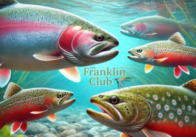 Meet the Fish at The Franklin Club